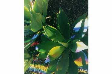 James Welling, H1, 2006 67.6 x 93.7 cm (119.1 x 160.3 x 5.1 cm) C-print on Fuji Crystal Archive paper